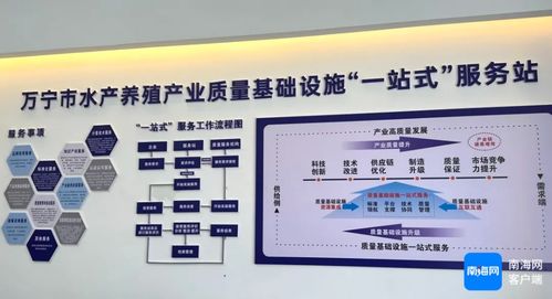萬(wàn)寧市水產(chǎn)養(yǎng)殖產(chǎn)業(yè)質(zhì)量基礎(chǔ)設(shè)施一站式服務(wù)站揭牌成立，開(kāi)啟證照代辦服務(wù)新篇章